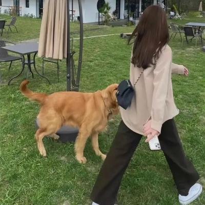 功夫小妹嫁人记